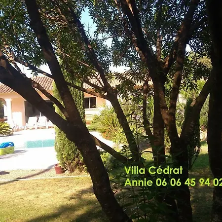 Cedrat