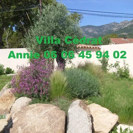 Cedrat Semesterbostad Porto-Vecchio (Corsica)