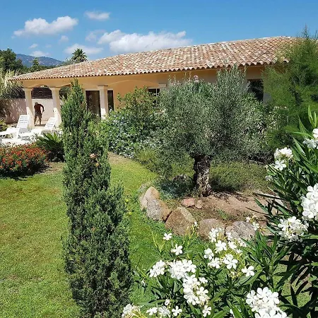 Semesterbostad Cedrat Porto-Vecchio (Corsica)