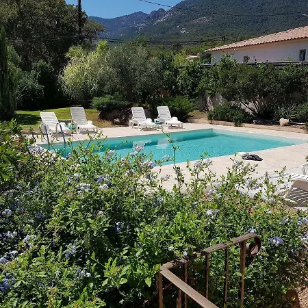 Cedrat Semesterbostad Porto-Vecchio (Corsica)