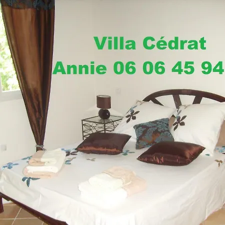 Cedrat Semesterbostad Porto-Vecchio (Corsica)